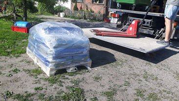 na nowej drodze życia pomagając psiakom